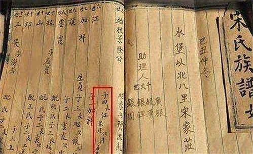 张大姐的秘诀：田边套种迷迭香