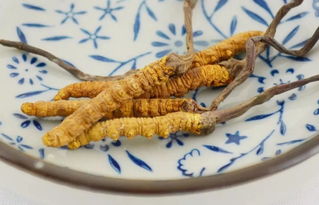 煎蛋：家常又美味