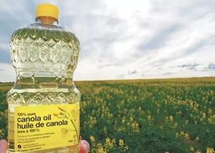 精油作用，多重功效