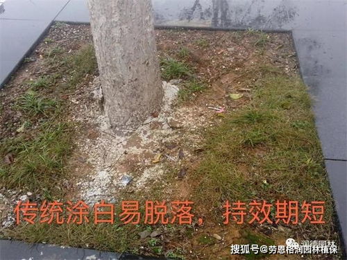 美化环境， 让城市梗整洁