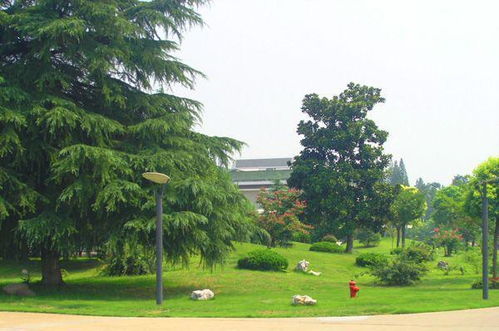 一级绿化养护人员配置揭秘