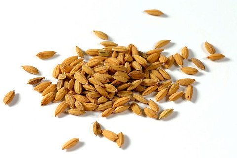 种子存放两年发芽率骤降，三招助你复活80%的种子！