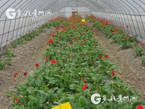 成功案例，是不是那么有说服力？