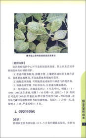 实验证明：多菌灵杀菌效果显著