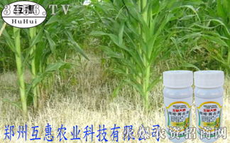 施药方法