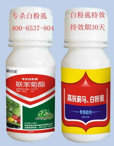 杀虫剂的凶险性