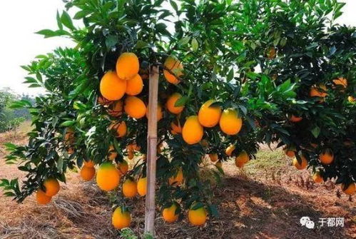 不当用药，后果严重