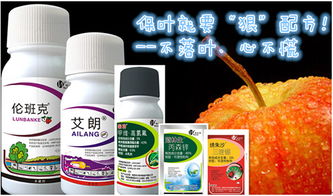 苹果套袋前的丙环唑使用