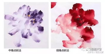 “哪里能找到高清牡丹花画？这些美图值得收藏吗