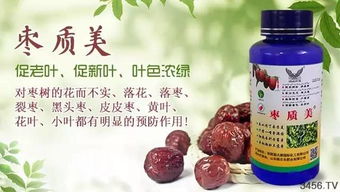 防治红枣黑头病的关键