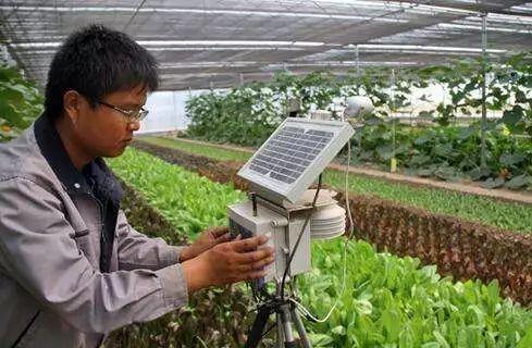 自家阳台上的小实验， 也有意想不到的收获