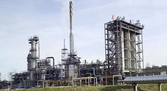 饲料加工后总干咳，加工饲料有污染导致吗？原因及解决方案是什么？