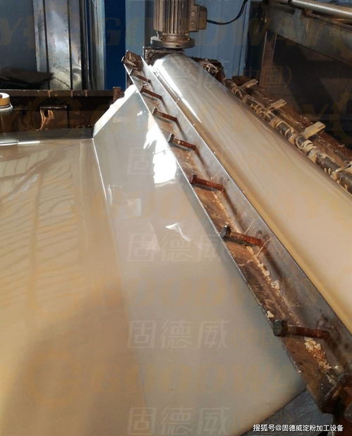 研发无矾粉条，抢占健康市场先机