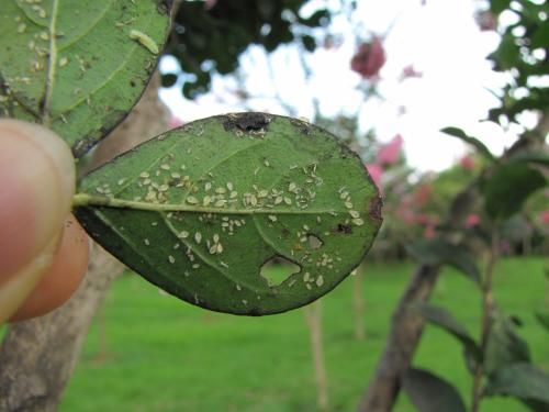 使用方法要掌握