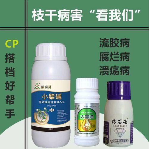 桃树溃疡病：困扰果农的难题