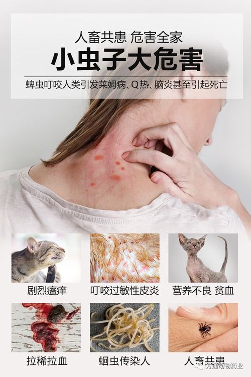 网友热议：有用没用， 众说纷纭