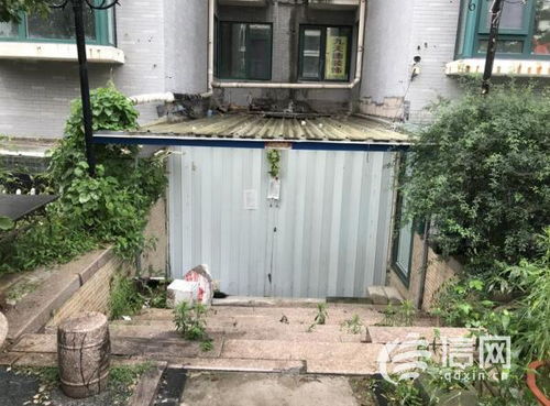 地下室里还Neng种些什么呢？