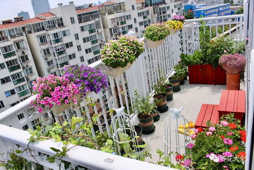 防虫，要打组合拳