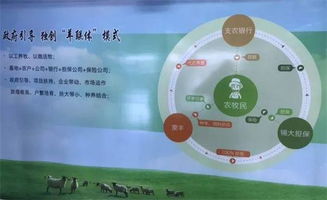 创新农业养殖财务管理与核算体系