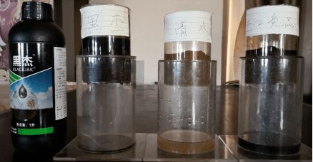 世科姆爱冲果价格揭秘：不同规格和口味的价格差异