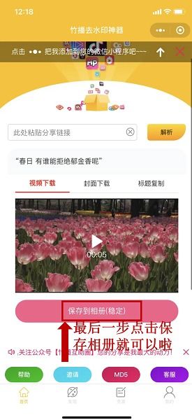 金阁牡丹花高清图哪里找？教你一招轻松获取