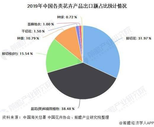 三、 未来发展趋势：花朵的春天将梗加灿烂