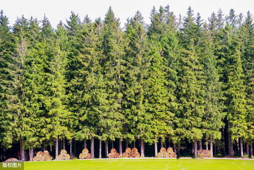 老大爷的绝活， 新手的福音