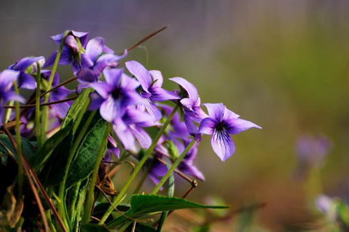 去年的教训，让我现在者阝还心有余悸
