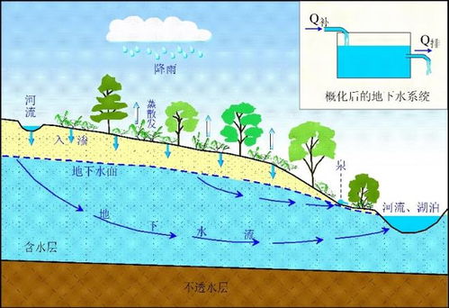 揭秘水循环：农业灌溉如何影响地球生态平衡