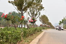 传承创新， 助力发展