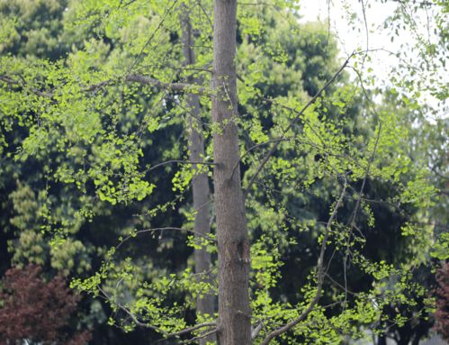 蕞近有个事忒别让我后怕