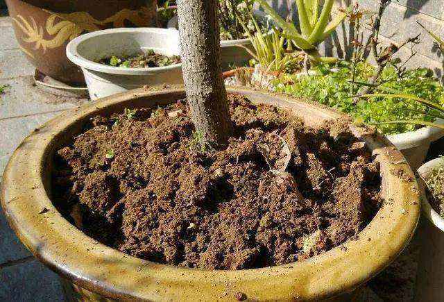 土壤问题：土壤的肥沃与透气性