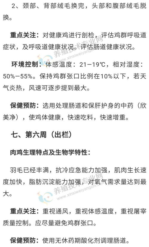 肉鸡日龄差异生理特性与通风管理
