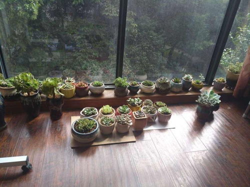 养护难不难， 也是个问题