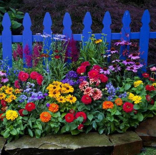 智商税还是真材实料？