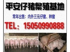养殖场防寄生虫为何总浪费钱？老司机年省4万避坑攻略！