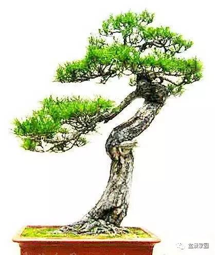 唤醒沉睡的种子