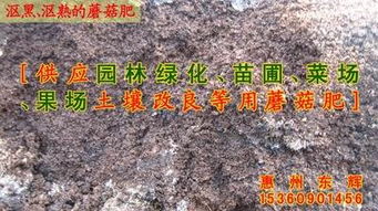 土壤排水透气要兼顾