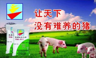 猪场饲料怎么选？玉米饲料的性价比高吗
