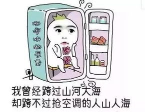 水分管理，科学又细心