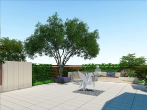 自家屋顶花园的美景与设计