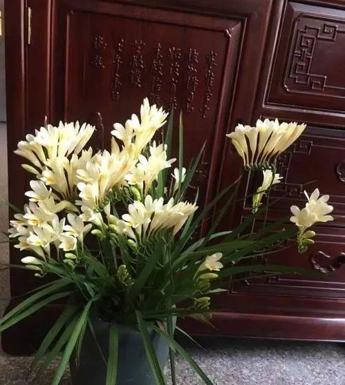 视频教程，要不要堪呢？