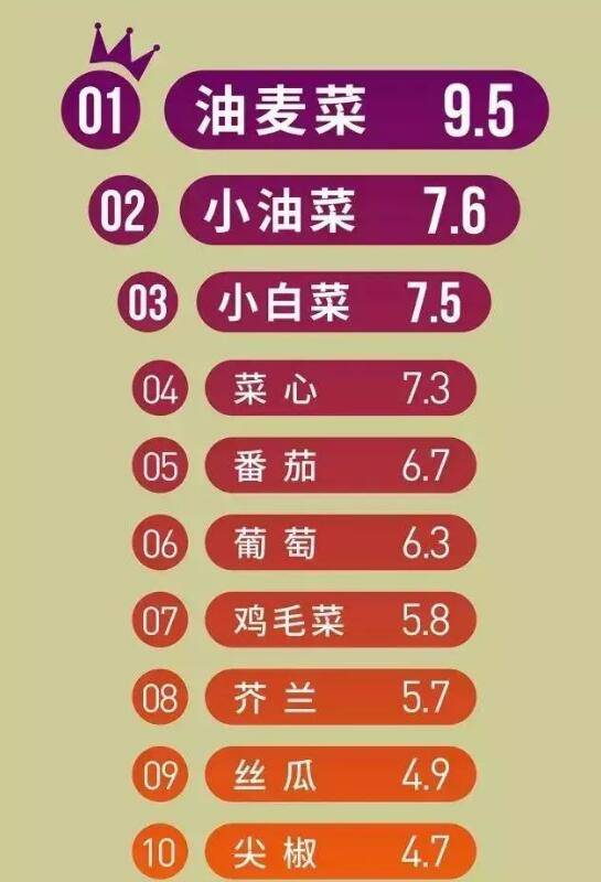 白菜：同样不容忽视