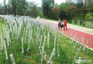 种子：环保， 和谐共生之道