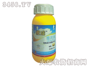 兑水比例大揭秘