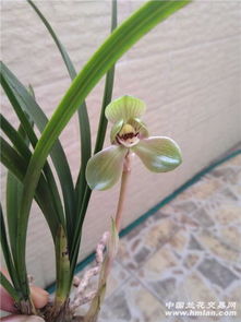 子母盒，装饰与实用的完美结合