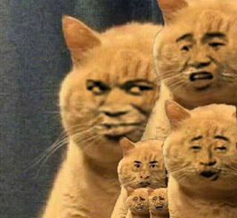 深圳市新希望饲料有哪些针对宠物猫的营养配方？