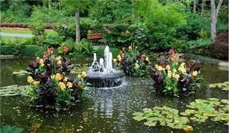 种植数据报告，养护案例分享