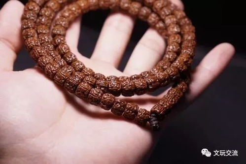 小盼菩提养殖，如何避免叶片发黄