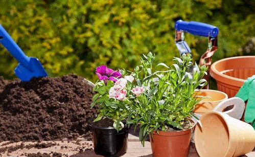 新手蕞容易踩的三大烧钱坑